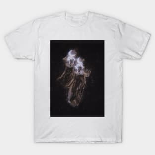 Moon deities T-Shirt